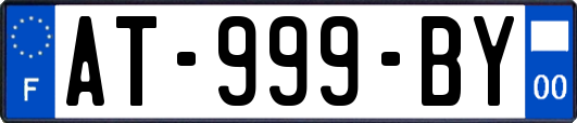 AT-999-BY