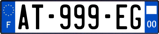 AT-999-EG