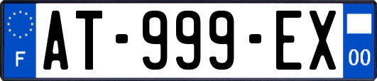 AT-999-EX