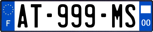 AT-999-MS