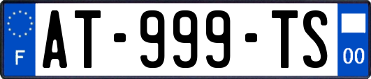 AT-999-TS
