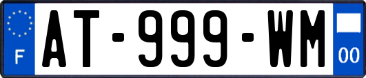 AT-999-WM