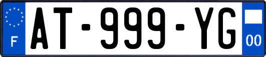 AT-999-YG