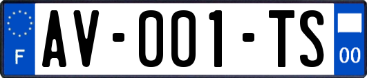 AV-001-TS