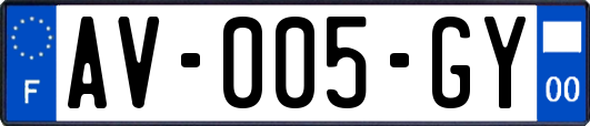 AV-005-GY