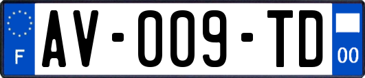AV-009-TD