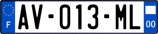 AV-013-ML