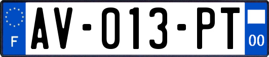 AV-013-PT