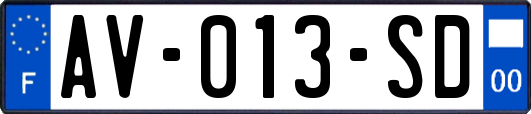 AV-013-SD