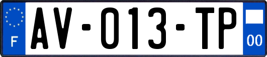 AV-013-TP