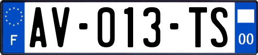 AV-013-TS