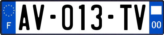 AV-013-TV