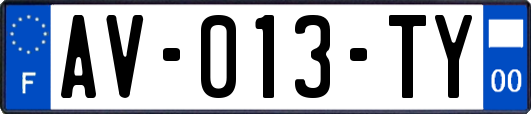 AV-013-TY
