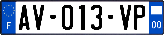 AV-013-VP