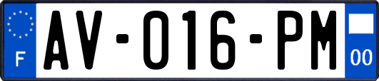 AV-016-PM