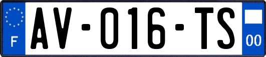 AV-016-TS