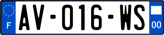 AV-016-WS