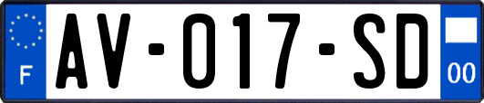 AV-017-SD