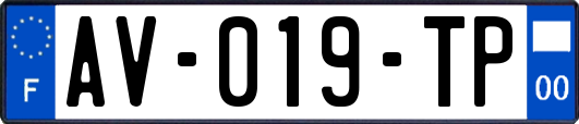 AV-019-TP