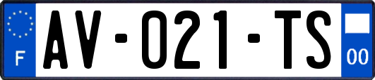 AV-021-TS