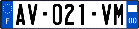 AV-021-VM