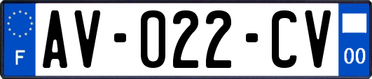 AV-022-CV