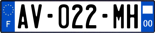 AV-022-MH