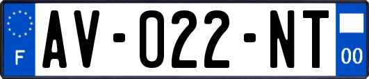 AV-022-NT