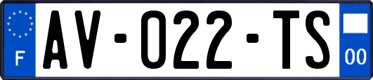 AV-022-TS