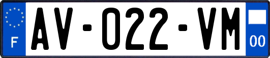 AV-022-VM