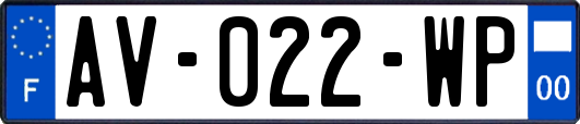AV-022-WP