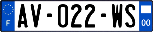 AV-022-WS