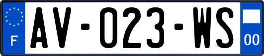 AV-023-WS