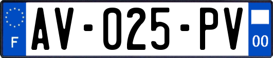AV-025-PV