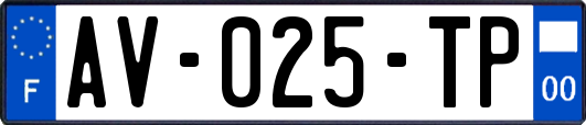 AV-025-TP