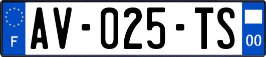 AV-025-TS