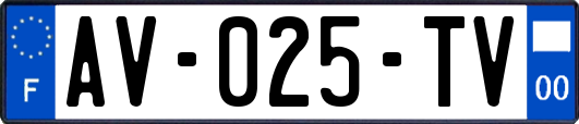AV-025-TV