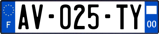 AV-025-TY