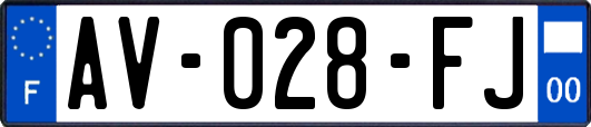 AV-028-FJ
