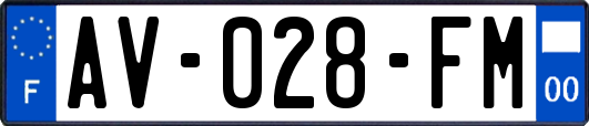 AV-028-FM