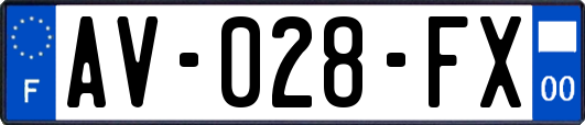 AV-028-FX