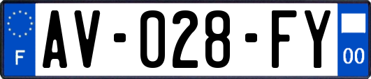 AV-028-FY