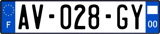 AV-028-GY