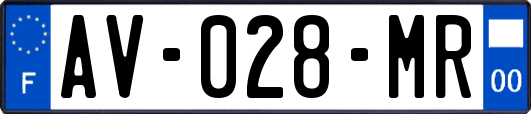 AV-028-MR