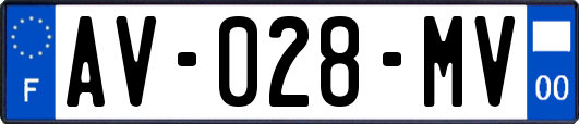 AV-028-MV