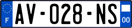 AV-028-NS