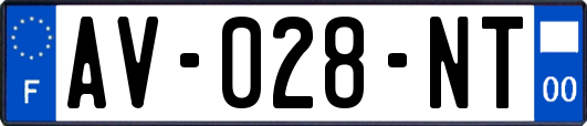 AV-028-NT