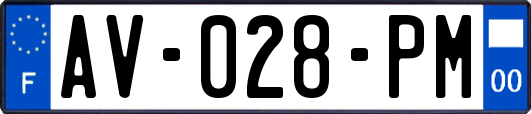 AV-028-PM