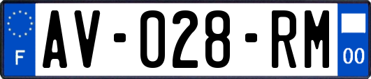 AV-028-RM