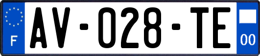 AV-028-TE